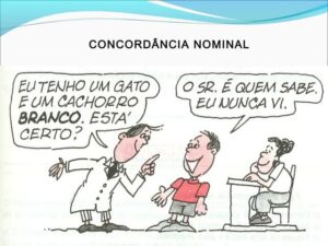 Concordância Nominal